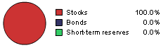 100% stocks